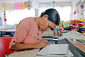 Implementa Gobierno del Estado de México plataforma digital gratuita para concluir estudios de primaria y secundaria